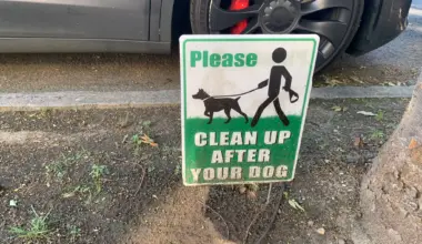 Watch your step! Dog poop is piling up on Manhattan streets and sidewalks, per new report