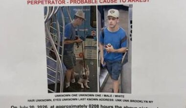 Dog Stolen on F Train: Cops Hunt Suspect Who Boarded on LES
