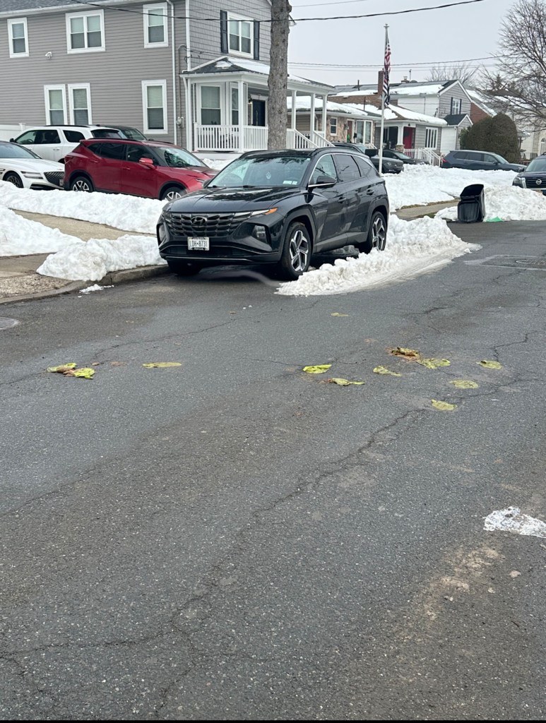 dog waste