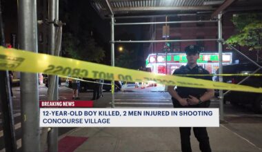 News 12 | Connecticut | 12 Year Old Boy Killed 2 Men Injured In Bronx Shooting