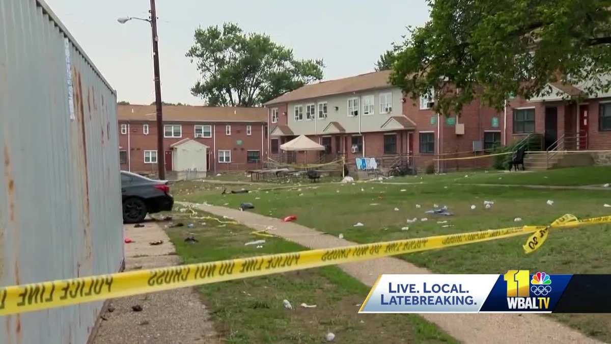 Brooklyn Day mass shooting families sue housing authority