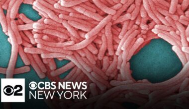 31 sickened in NYC Legionnaires' cluster discharged from hospital, officials say - CBS News