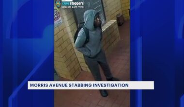 News 12 | Bronx | Teen Stabbed Trying To Break Up Fight Inside Melrose Houses