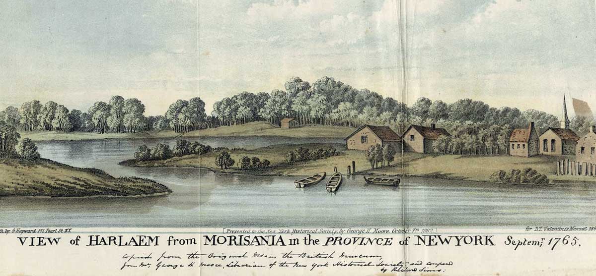 early view of bronx