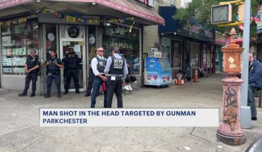 News 12 | Bronx | Man Shot In The Head In Front Of Parkchester Liquor Store Was Targeted By Gunman