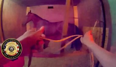 Bodycam shows horse rescue during New York racetrack fire