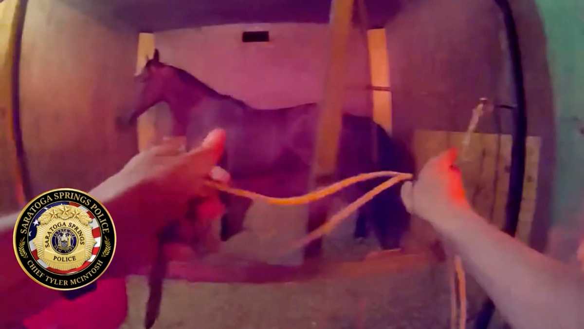Bodycam shows horse rescue during New York racetrack fire
