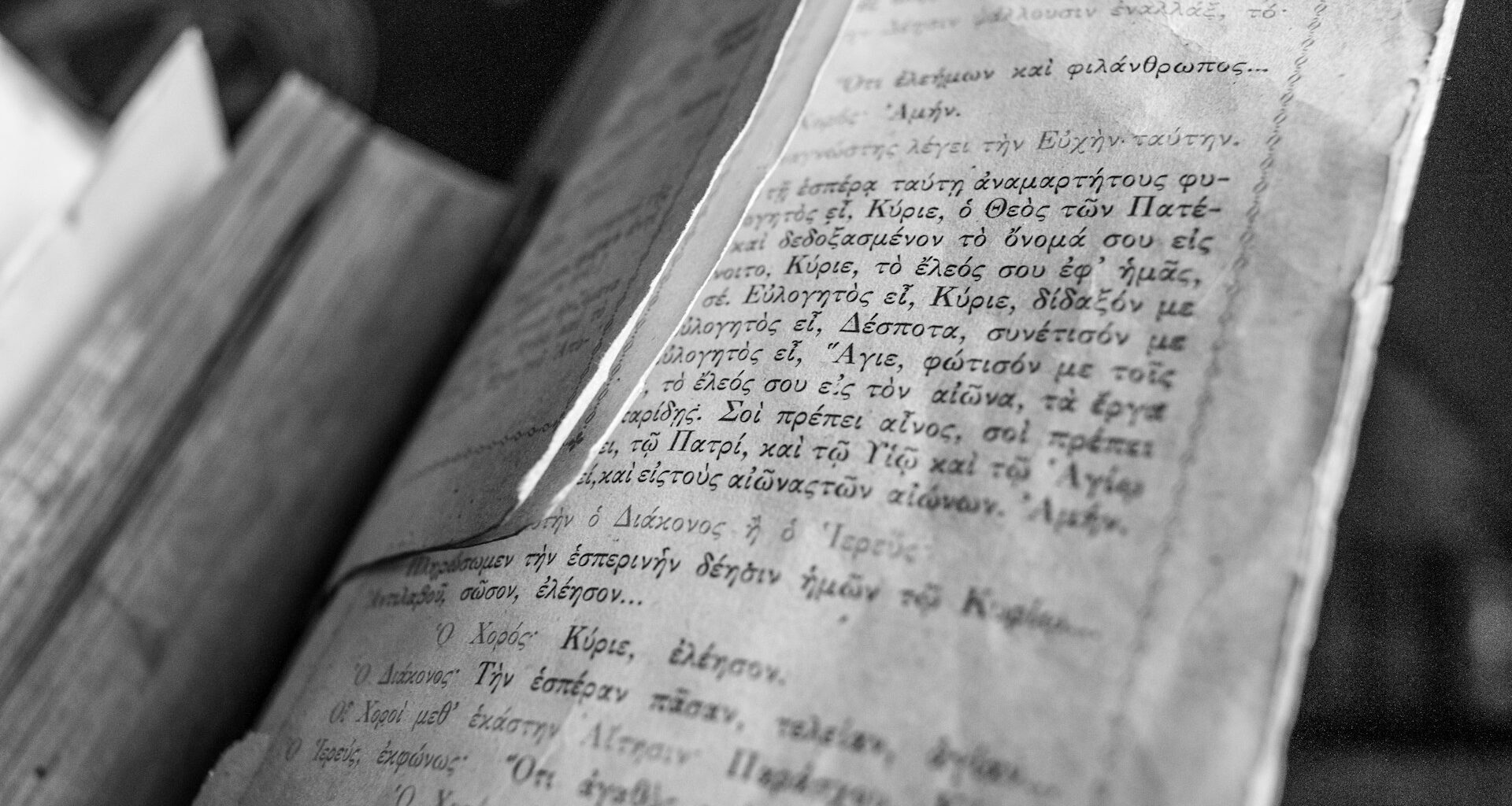 The NYC Language Explorer findings highlight that Greek speakers in NYC number over 35,000. Photo by Elimende Inagella, via Unsplash