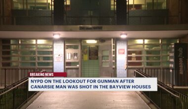 News 12 | Brooklyn | Man Shot Inside Bay View Houses Apartment Building In Canarsie Gunman Still On The Run