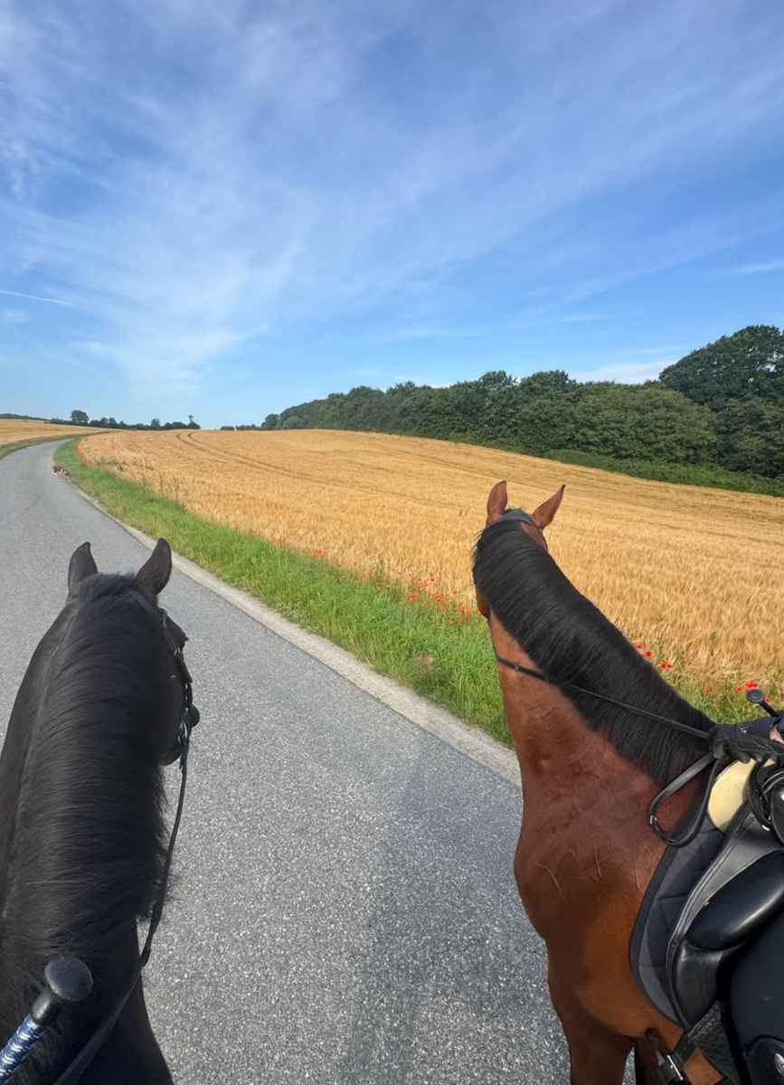 The Danish royal couple enjoys exploring the scenic countryside surrounding Gråsten Palace on horseback during their summer holiday.