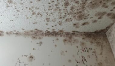 News 12 | Brooklyn | Coney Island Tenants Demand Action Over Rats Garbage Broken Elevators And Lack Of Gas