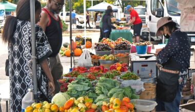 MINNEAPOLIMEDIA NEWS | Brooklyn Park Farmers Market Returns Wednesday With Local Produce and Specialty Foods