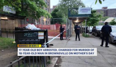 News 12 | Brooklyn | Teen Arrested For Fatal Mothers Day Shooting In Brownsville