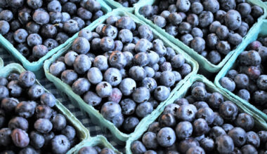 State Agriculture Department Announces Newly Revamped Nourish New York Portal