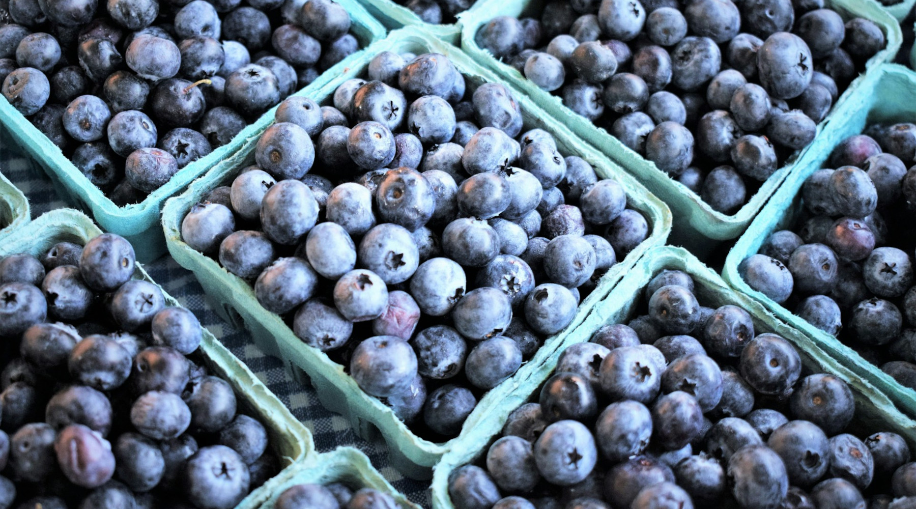 State Agriculture Department Announces Newly Revamped Nourish New York Portal