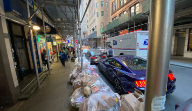 Bin There, Done That - The Broadsheet