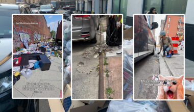 New York’s Rampant Illegal Parking Stumps Viral Good Samaritan Street Cleaners
