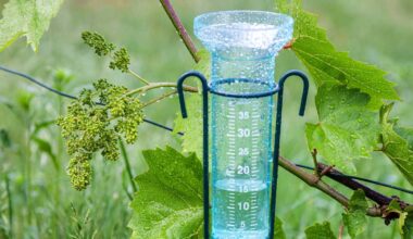 Latest rainfall totals in Vermont, New York, New Hampshire