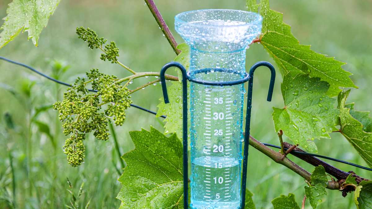 Latest rainfall totals in Vermont, New York, New Hampshire