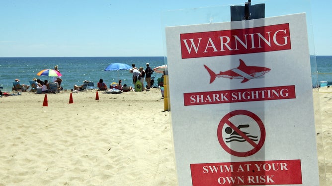 a sign where a shark was spotted along South Beach in Martha's Vineyard. Friday, July 11, 2008.
