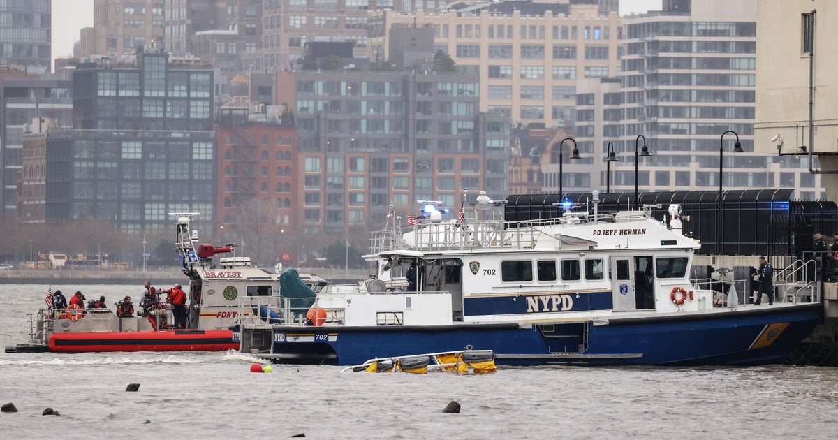 Deadly New York helicopter crash in Hudson River last year most likely caused by bird strike, NTSB says