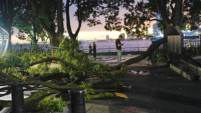 NEW YORK CITY, UNITED STATES - JULY 3: Tree branches lie across a sidewalk after a severe storm swept through New York City, United States, on July 3, 2026. The storm caused damage in parts of Manhattan, breaking tree branches and affecting public areas. 