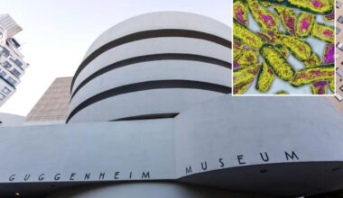 Guggenheim, 30 other NYC buildings detected for Legionnaires