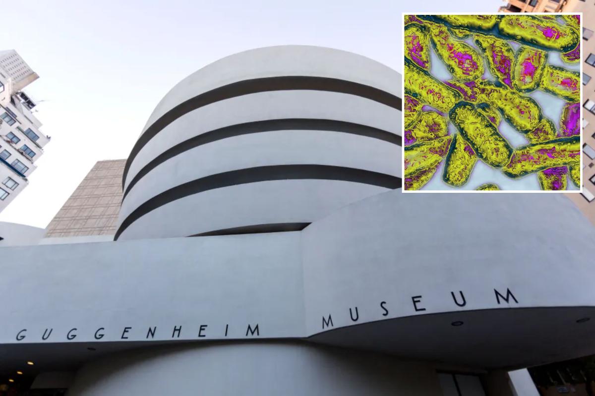 Guggenheim, 30 other NYC buildings detected for Legionnaires