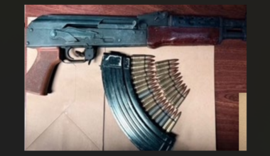 News 12 | Bronx | Nypd 16 Guns Seized At Dominican Day Parade In The Bronx