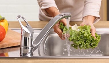 Source Identified in Growing Cyclosporiasis Outbreak: How to Avoid the Severe Stomach Illness | Health Matters