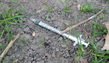 Controversial program paying drug users for used syringes becomes permanent in NYC