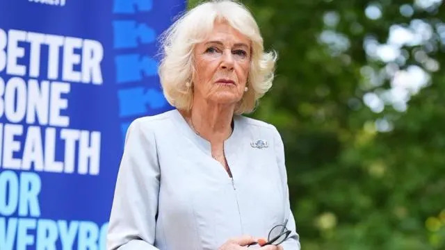 Queen Camilla Is Convinced Prince Harry Could ‘Turn on the Family Again’ — Insider
