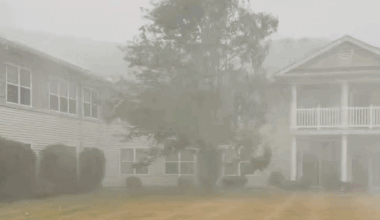 Strong Winds and Hail Lash Western New York State During Tornado-Warned Storms