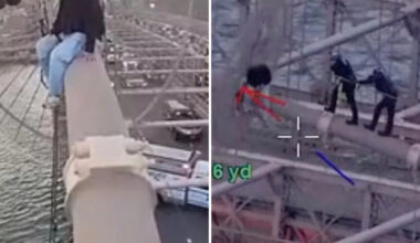 Heroic police officers scale Brooklyn Bridge to rescue woman