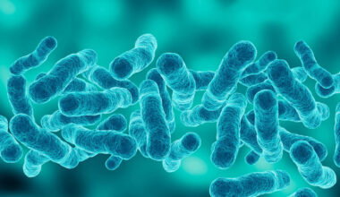 NYC's Legionnaires' disease outbreak continues to grow. What to know