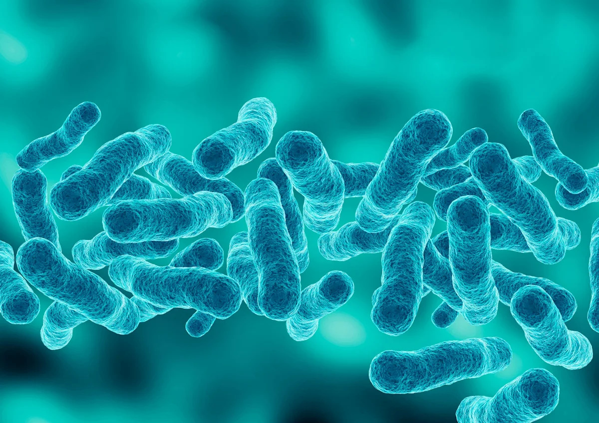 NYC's Legionnaires' disease outbreak continues to grow. What to know