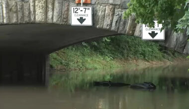 Flooding on Bronx River Parkway submerges cars during severe thunderstorms