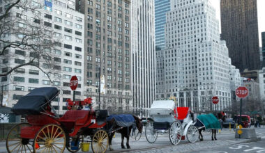 NYC Council seeks public input on phasing out horse-drawn carriages