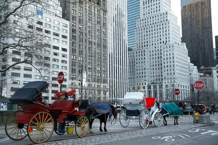 NYC Council seeks public input on phasing out horse-drawn carriages