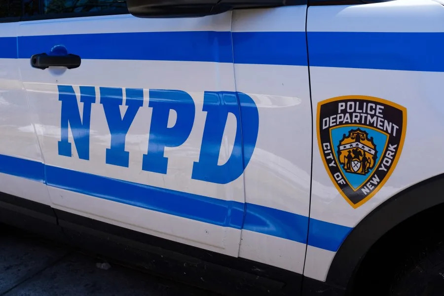 Investigation launched after toddler bitten in the Bronx: NYPD