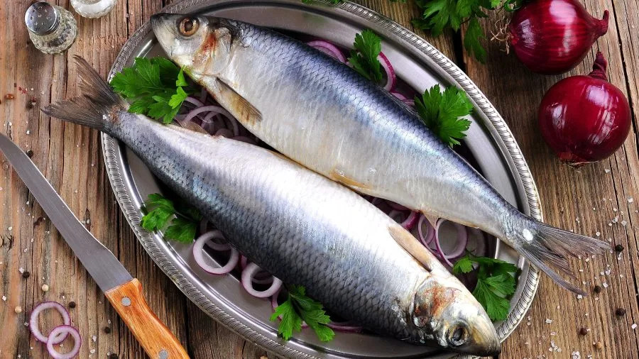 Brooklyn distributor recalls uneviscerated smoked herring