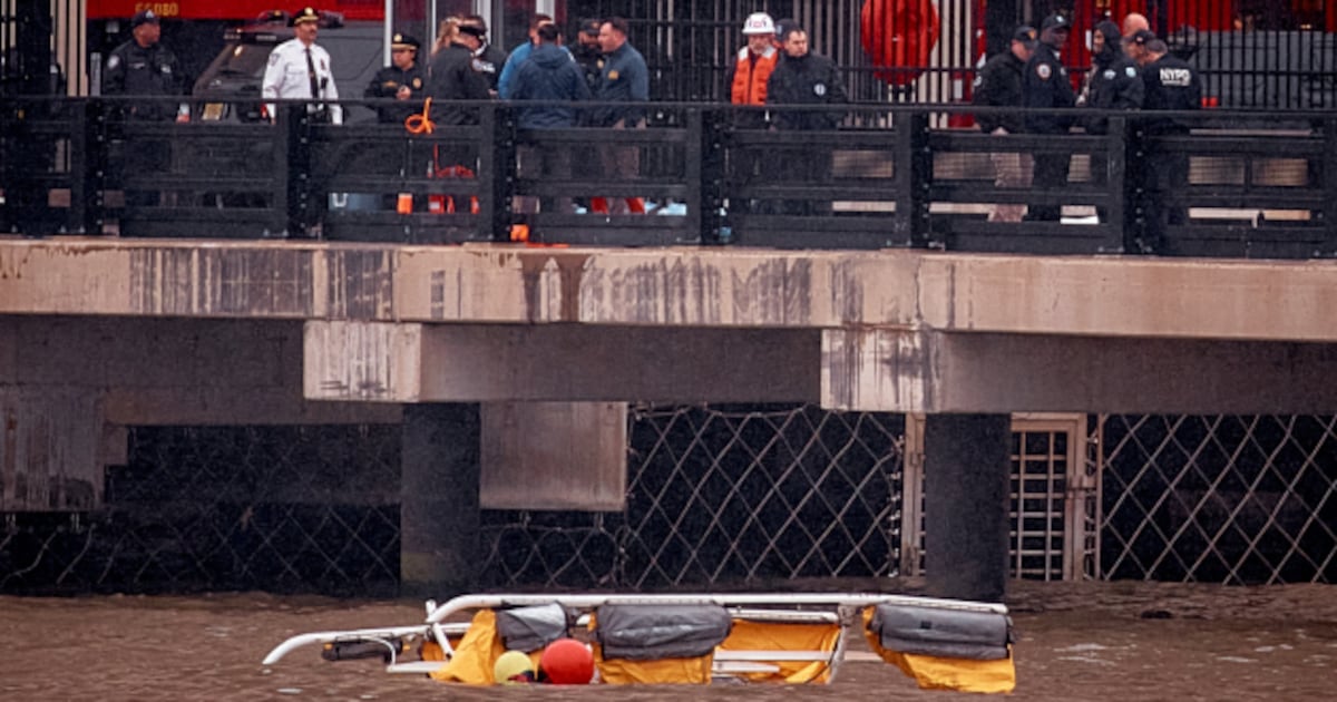 Bird strike likely caused New York City helicopter crash in Hudson River: NTSB – WHIO TV 7 and WHIO Radio