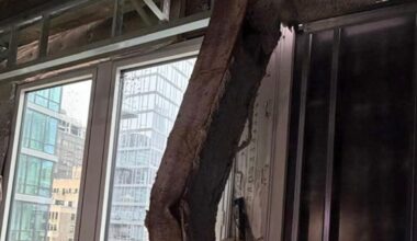 Scene report from Manhattan's collapsing high-rise.