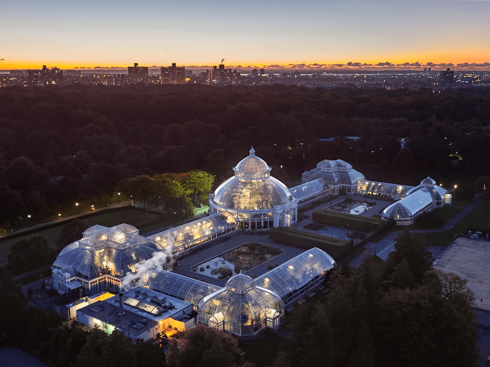 Illuminated glass conservatory complex at NYBG at sunset, surrounded by trees and city skyline.