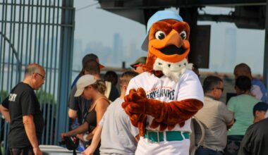 FerryHawks Visit York As First-Half Stretch Winds Down
