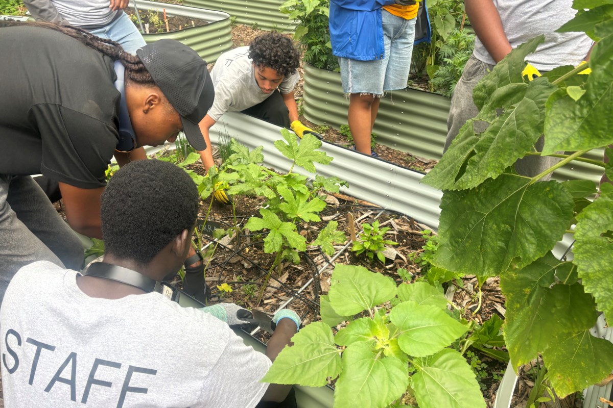Brooklyn Learning Garden Helps Youth Dig Into Their Future