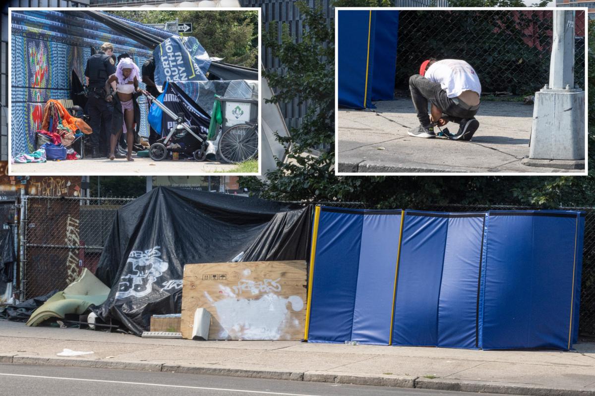 Vagrants wire NYC's growing Intrepid Museum homeless camp with electricity