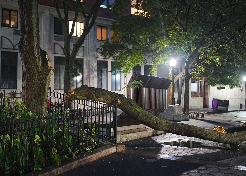 Fallen tree branch on a sidewalk in New York City after a severe storm.