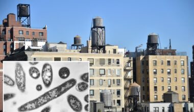 More than half of cooling towers in NYC Legionnaires’ outbreak area issued violations in recent months: records