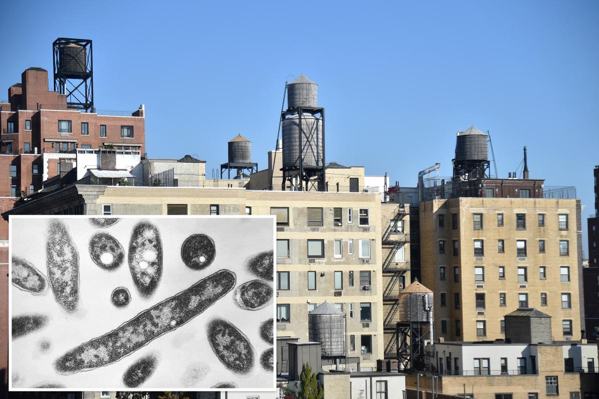 More than half of cooling towers in NYC Legionnaires’ outbreak area issued violations in recent months: records
